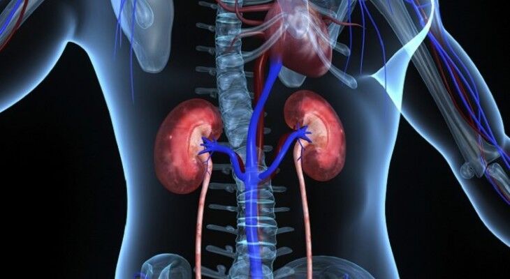 Silent Signs You Shouldn't Ignore: Early Detection of Heart and Kidney Issues Can Save Lives